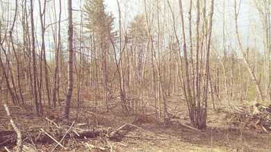 20210409_110247_Film4