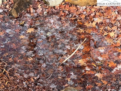 Lots 39 and 40 Snow Ridge Rd, Banner Elk, NC 28604 - photo 3