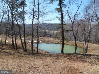 0 Grassy Lick unit 1004334906, Kirby, WV 26755 - photo 3