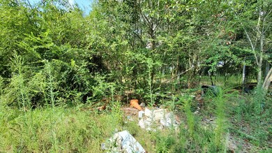 121 Crumbley Ln, Sylvester, GA 31791 - photo 7