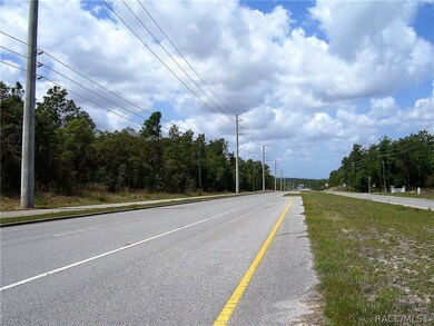 1990 E Norvell Bryant Hwy, Hernando, FL 34442 - photo 2