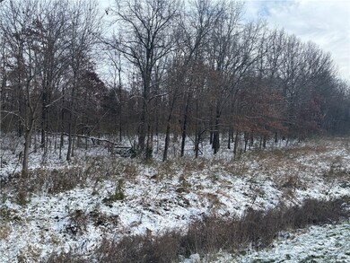 0 Illinois 1, Flat Rock, IL 62427 - photo 4