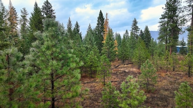 186 Gold Dust Trail, Pioneer Junction, MT 59923 - photo 5