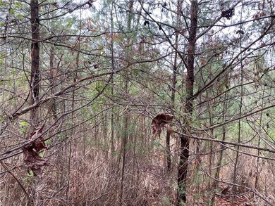 Lot 31 Walnut Cove Rd unit 31, 4, Beech Glenn, NC 28754 - photo 7