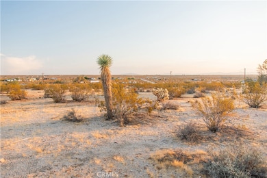 1800 Belmont St Lot 44, Joshua Tree, CA 92252 - photo 7