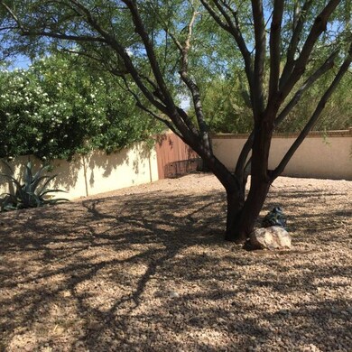 Large backyard