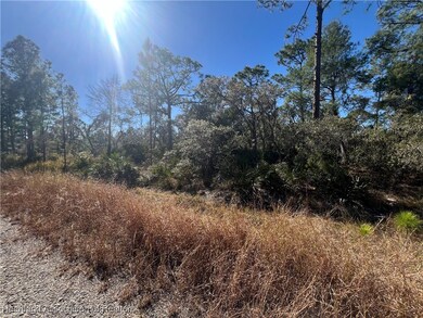 646 Jonathan St, Lake Placid, FL 33852 - photo 7