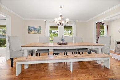 533 Rushing Rd W, Denham Springs, LA 70726 - photo 2