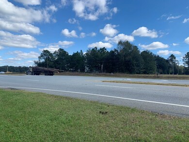 1905 Liberty Expy SE, Bridgeboro, GA 31705 - photo 2