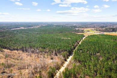 3-web-or-mls-DJI_0773
