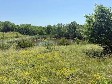 51152 Clarke-Lucas Ave, Lucas, IA 50151 - photo 5