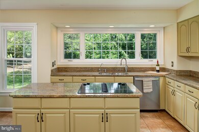 15428 Snowhill Ln, Centreville, VA 20120 - photo 7