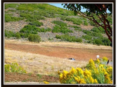 Land/Lot.