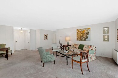 Imperial Towers unit 411, Chestnut Hill, MA 02467 - photo 5