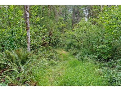 332 Boone Rd, Toledo, WA 98591 - photo 7