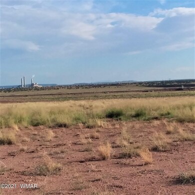 carrizo.a