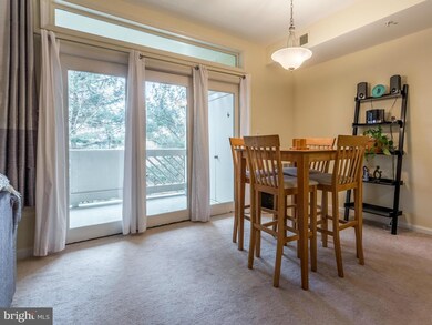 1367C Garden Wall Cir unit 710, Reston, VA 20194 - photo 5