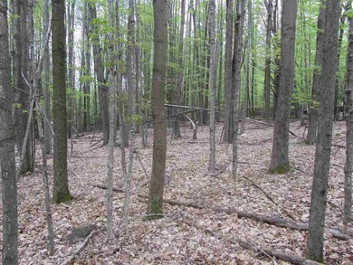 2500 U S 7 unit 2, Rutland, VT 05701 - photo 6