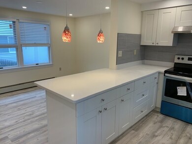 172 Charles St unit A, Cambridge, MA 02141 - photo 2