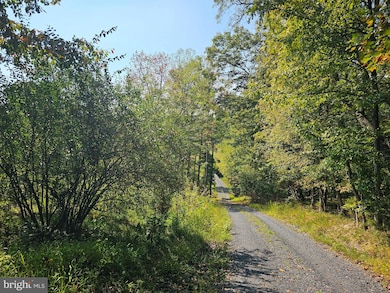 510 Windy Pines Rd, Front Royal, VA 22630 - photo 4