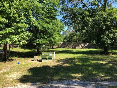 15 Lily Cove, Huntsville, TX 77340 - photo 2