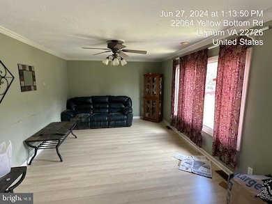 22064 Yellow Bottom Rd, Lignum, VA 22726 - photo 3