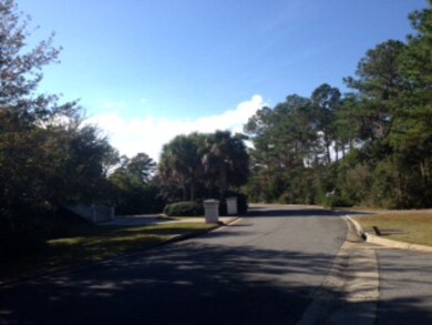 2021 Sea Palms West Drive (Lot 11) unit Lot11, St. Simons Island, GA 31522 - photo 2