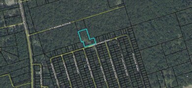 58 Mohican Trail, Crawfordville, FL 32327 - photo 2