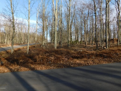 Hf-341 Hidden Forest, Hazleton, PA 18202 - photo 2