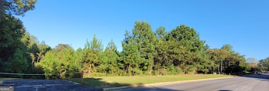 5236 Sandy Shores Ct, Lithonia, GA 30038 - photo 3