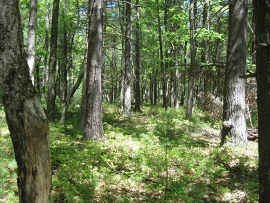 Parcel 2 Frenchtown Rd, Milford, PA 18337 - photo 5