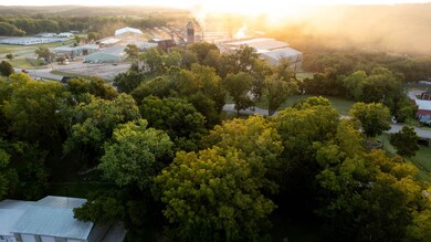 City lot in Birchtree MO001