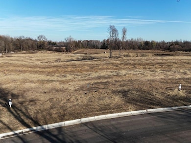 7701 Lake John Dr, Annandale, MN 55302 - photo 5