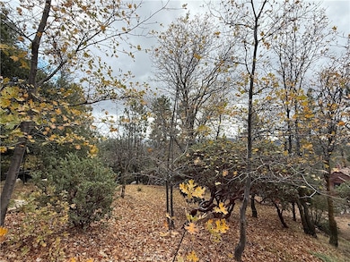 0 Yosemite Dr, Lake Arrowhead, CA 92352 - photo 4