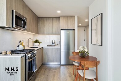 54 Crown St unit 1109, Crown Heights, NY 11225 - photo 6