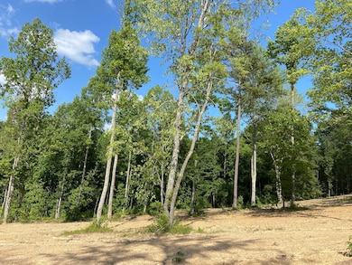 P-3 Lot 44 Twins Pond Rd, Corbin, KY 40701 - photo 2