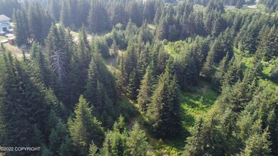 DJI_0809