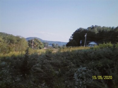 0 Redbird Ln, Rutledge, TN 37861 - photo 4