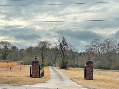 Entrance Driveway and Gate