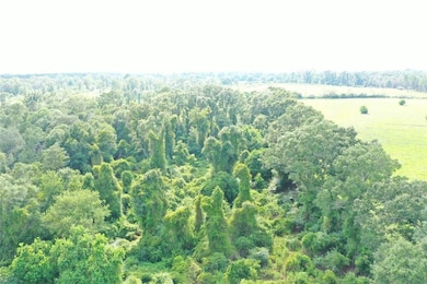 0 Par Road 272, Franklinton, LA 70438 - photo 3