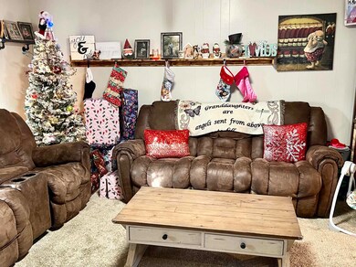 318 N Pine St, Inman, KS 67546 - photo 2