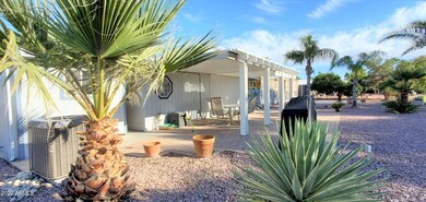 Lg Backyard