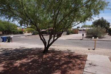 SHADY MESQUITE TREE