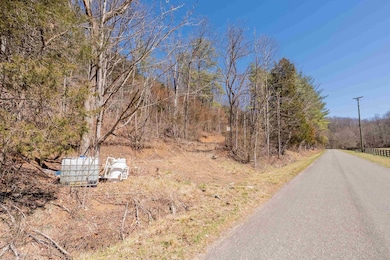 TBD Indigo Rd, Christiansburg, VA 24073 - photo 4
