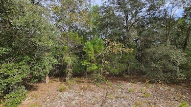 0 Michael Ave unit 25580690, Interlachen, FL 32148 - photo 4