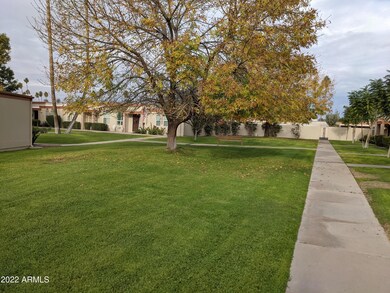 Greenbelt in front of home