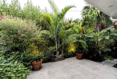 Garden view from living room