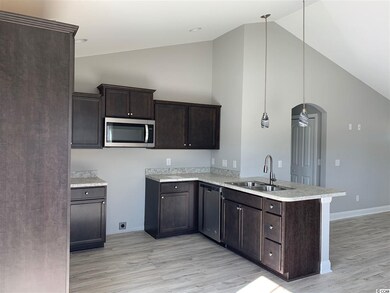 100 Pumpkin Ash Loop, Conway, SC 29527 - photo 4