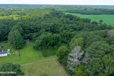 0 Hickorynut Dr, La Grange, NC 28551 - photo 6