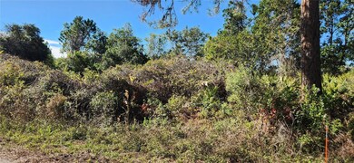 0000 Malauka Radial, Ocklawaha, FL 32179 - photo 5